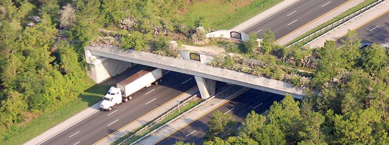 Florida-Greenway-Land-Bridge.jpg