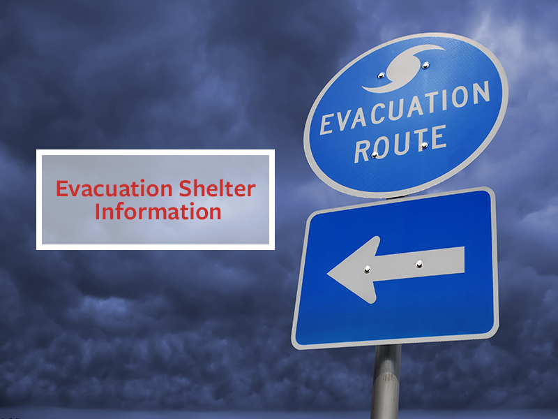 Shelter-Image.jpg