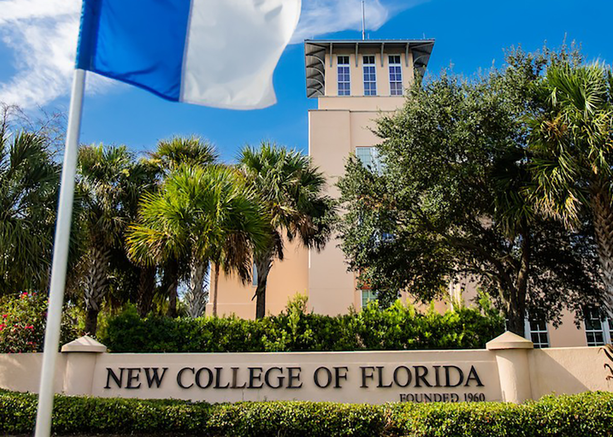 new-college-copy.jpg