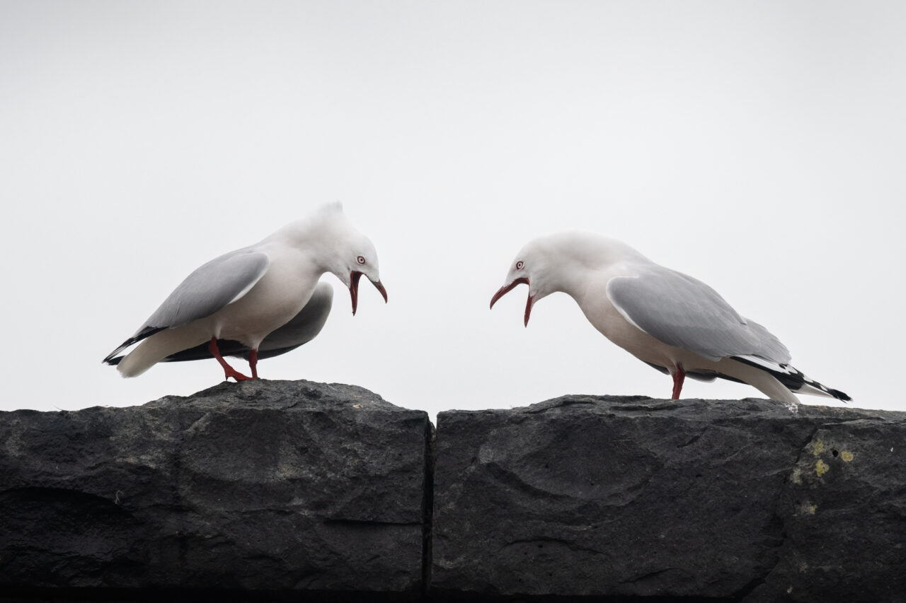 AdobeStock_525733219-1280x853.jpeg